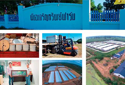 ติดตั้งแผงโซล่าเซลล์คุณภาพมาตรฐานยุโรป 61 kwp พีเอเจริญทรัพย์ฟาร์ม นครราชสีมา